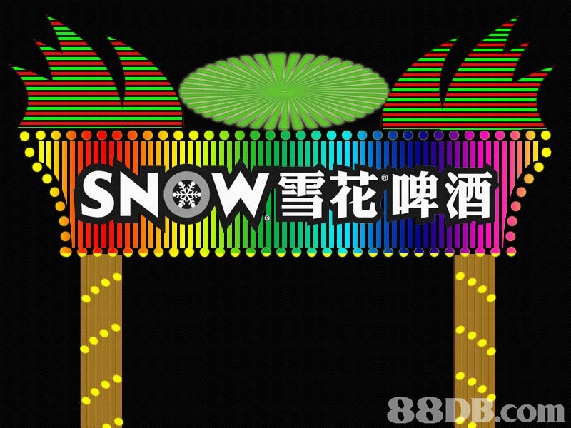 雪花啤酒 雪花啤酒